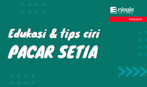 Edukasi dan Tips Ciri Pacar Setia