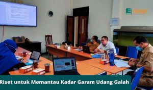 Riset untuk Memantau Kadar Garam Udang Galah