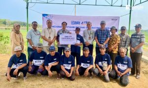 Dari Zakat untuk Petani Bawang Harapan Baru dari Pesisir Bantul